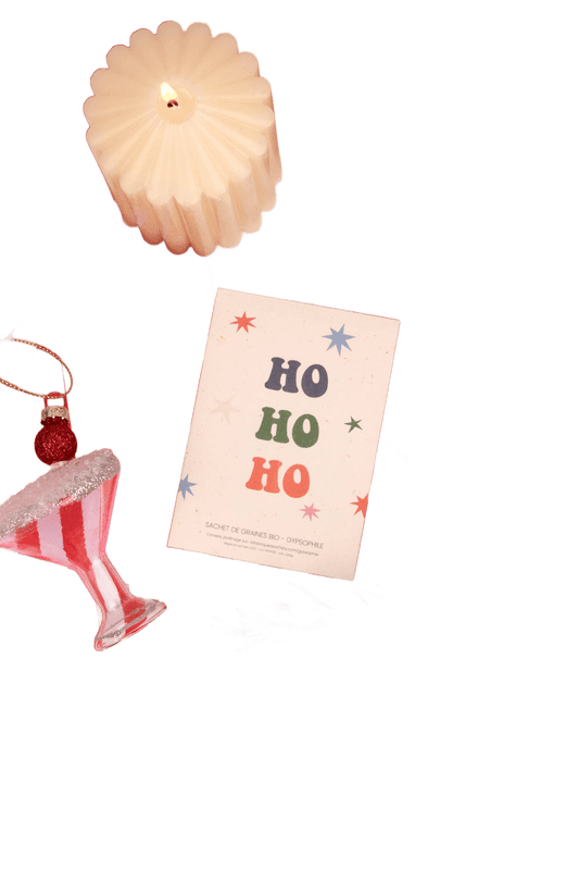Ho Ho Ho - Bag Of Gypsophila Seeds - Só Verde