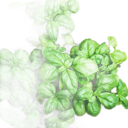 I Love You - Basil Seed Bag - Só Verde