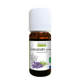 Lavandin Grosso Essential Oil - Só Verde