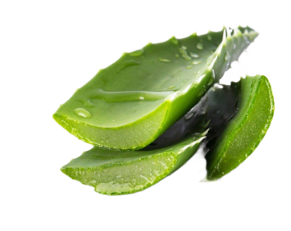 Olive Oil Soap With Ginger And Aloe Vera - Só Verde