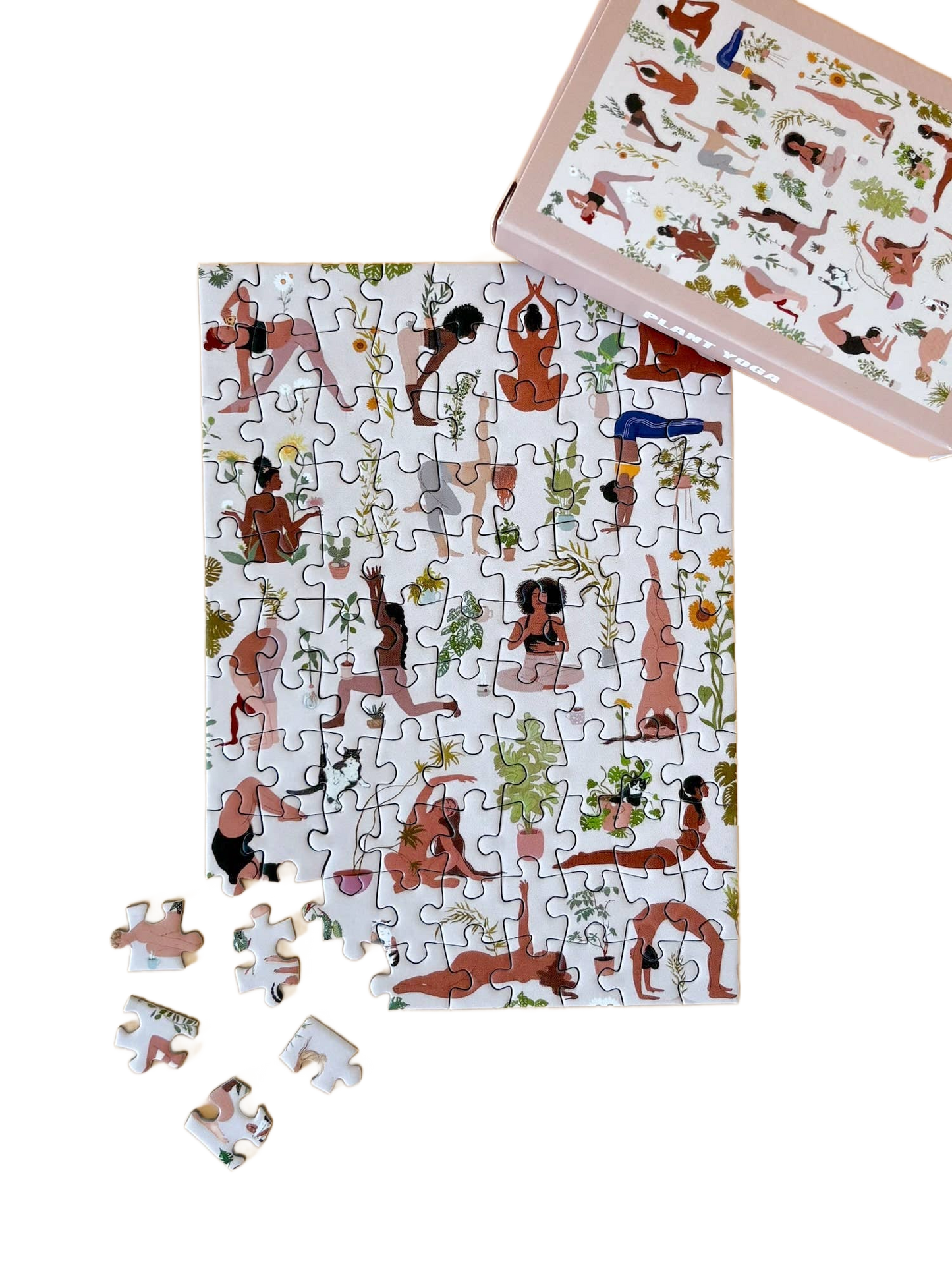 this is a product image