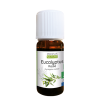 Recuperação Muscular