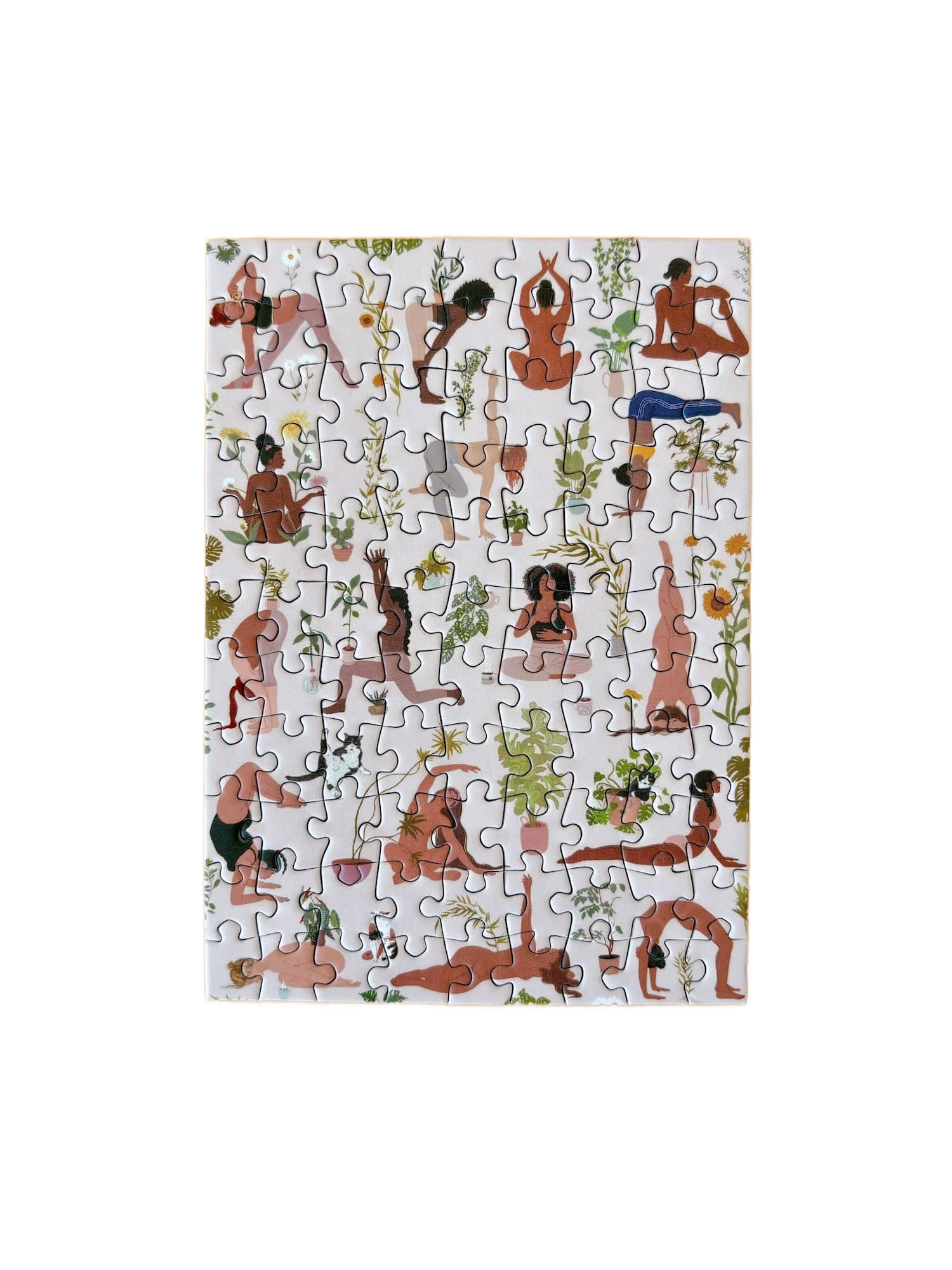 this is a product image