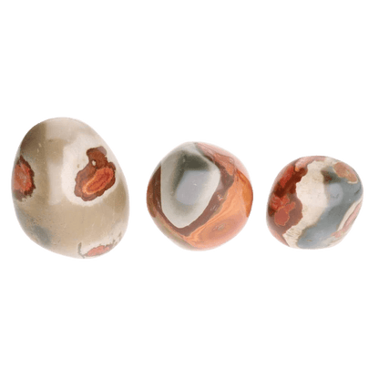 Polished Polychrome Jasper Shapes - Só Verde