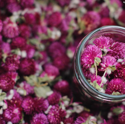 Purple Globe Tea | From Portugal - Só Verde