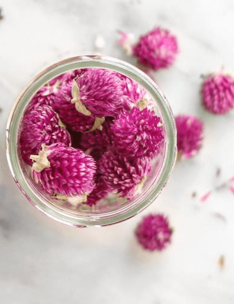 Purple Globe Tea | From Portugal - Só Verde
