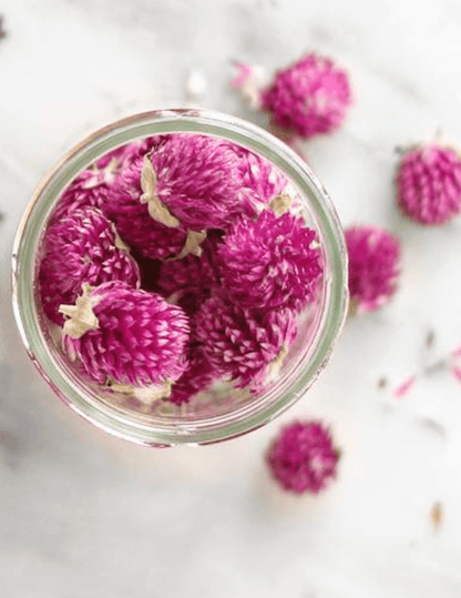 Purple Globe Tea | From Portugal - Só Verde