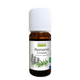 Rosemary Camphor Essential Oil - Só Verde