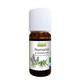 Rosemary Verbenone Essential Oil - Só Verde