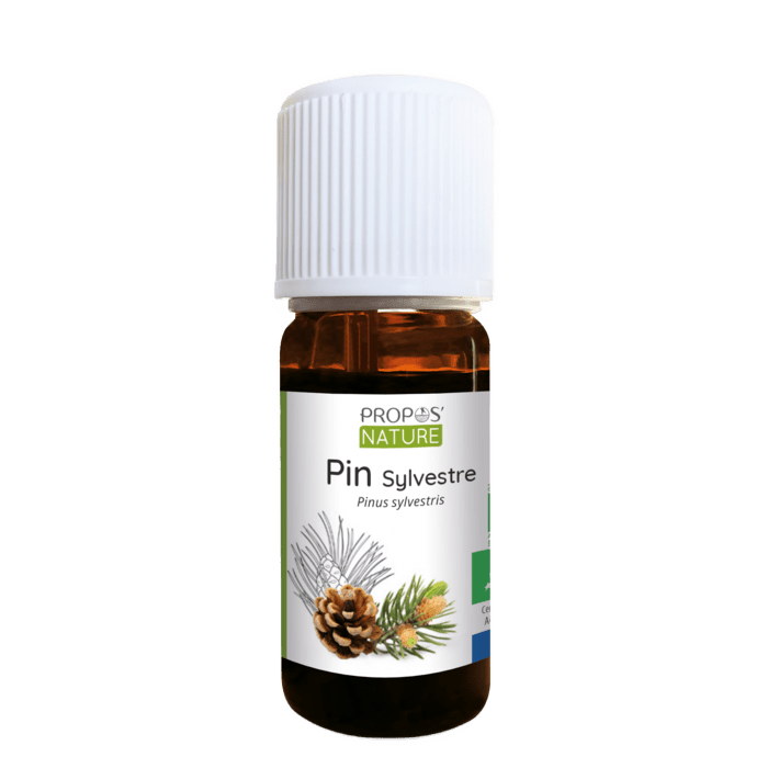 Scots Pine Essential Oil - Só Verde
