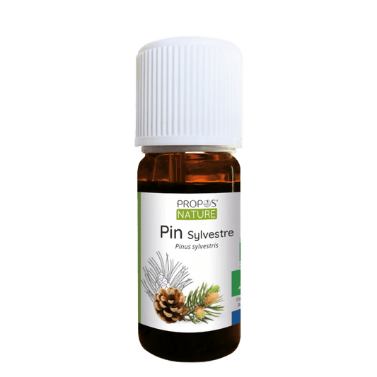 Scots Pine Essential Oil - Só Verde