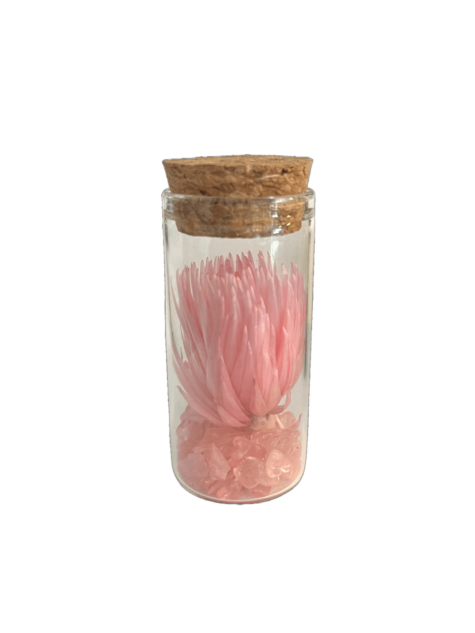 Set of 5 Glass Tubes with Gems and Dried Flowers - Só Verde