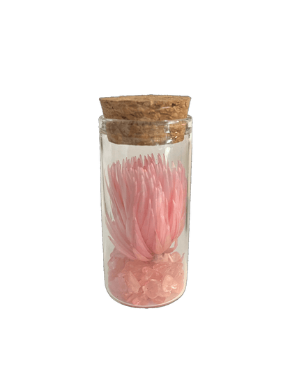 Set of 5 Glass Tubes with Gems and Dried Flowers - Só Verde