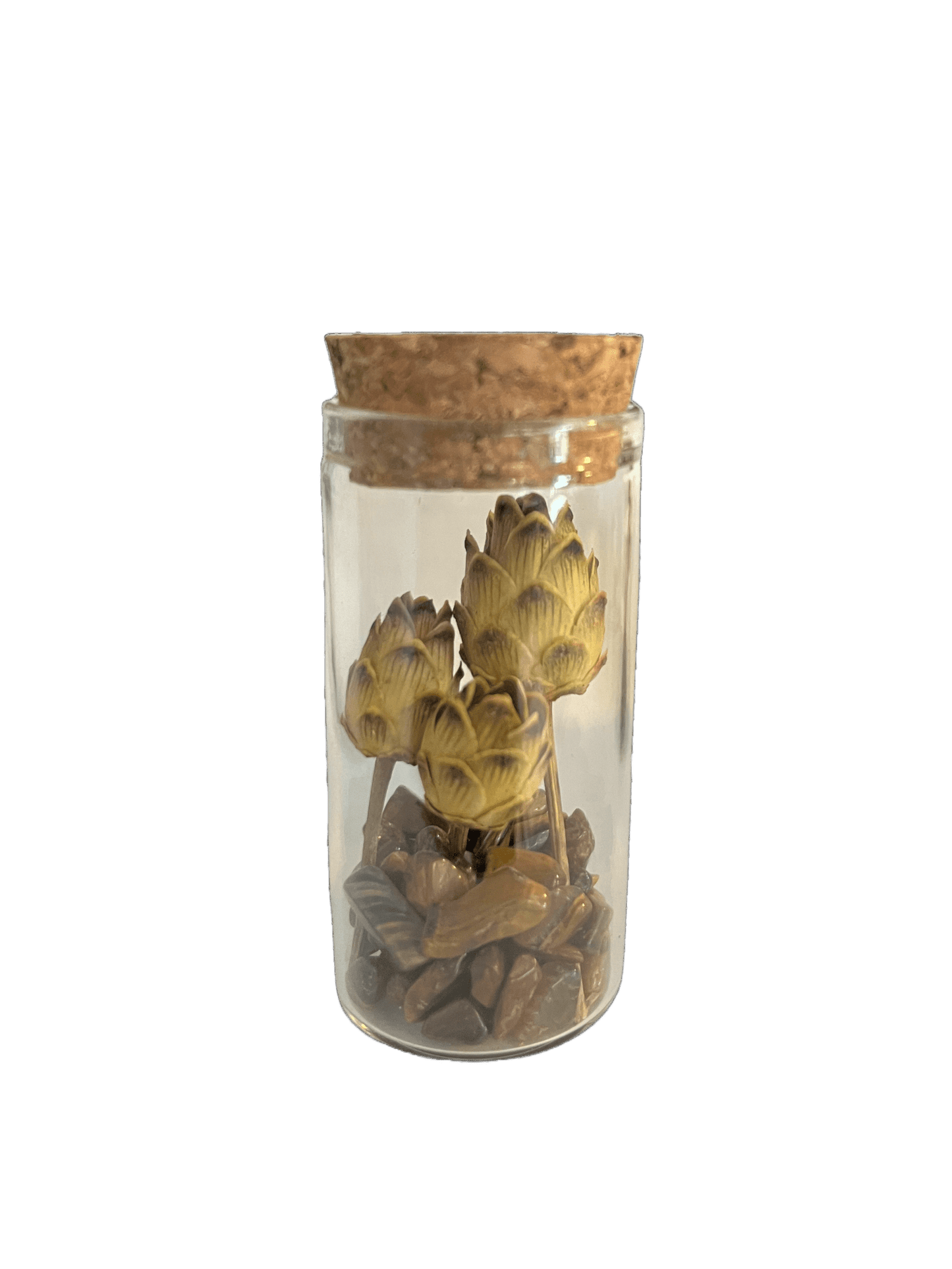 Set of 5 Glass Tubes with Gems and Dried Flowers - Só Verde