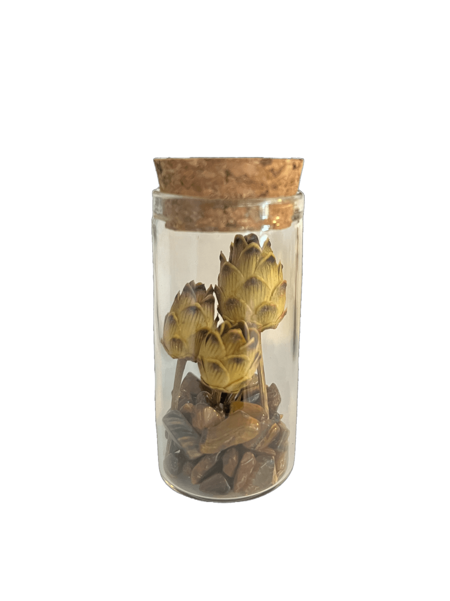 Set of 5 Glass Tubes with Gems and Dried Flowers - Só Verde
