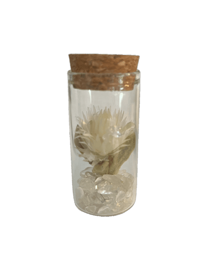 Set of 5 Glass Tubes with Gems and Dried Flowers - Só Verde