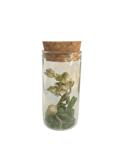 Set of 5 Glass Tubes with Gems and Dried Flowers - Só Verde