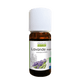 Spike Lavender Essential Oil - Só Verde