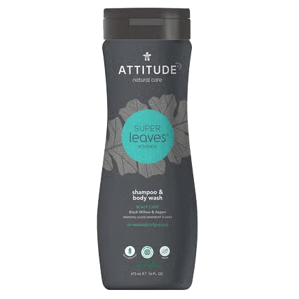 Super Leaves 2in1 Anti-Dandruff Shampoo & Shower Gel for Men - Só Verde