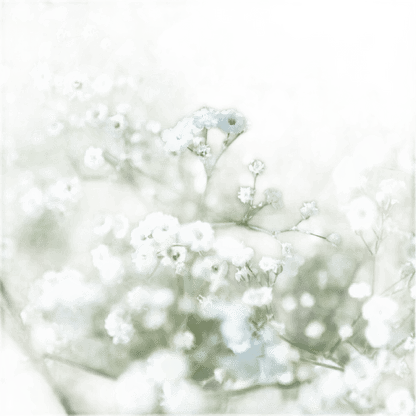 Thank You Very Much - Bag Of Gypsophila Seeds - Só Verde