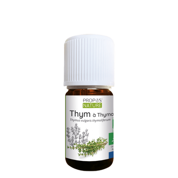 Thyme Thymol Essential Oil - Só Verde