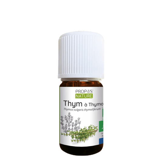 Thyme Thymol Essential Oil - Só Verde