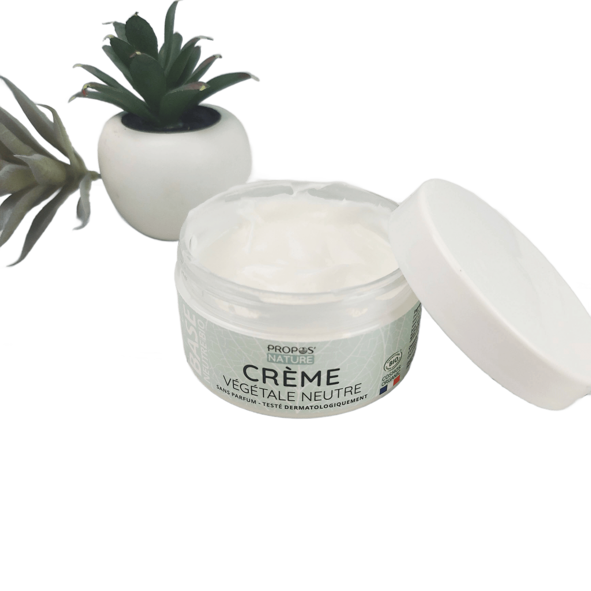 Vegetable Cream - Neutral Base - Só Verde